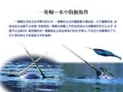 独角鲸