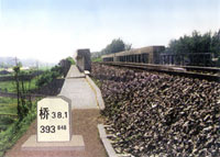 桥梁标